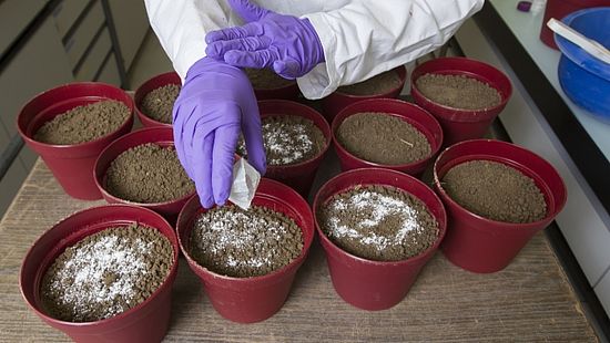 Waste water should help Swiss agriculture