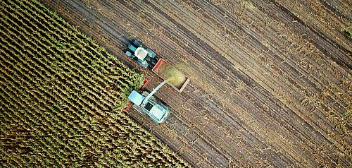 Ernährung, Landnutzung und Biodiversität
