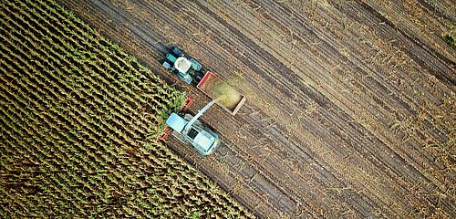 Food, Land Use and Biodiversity